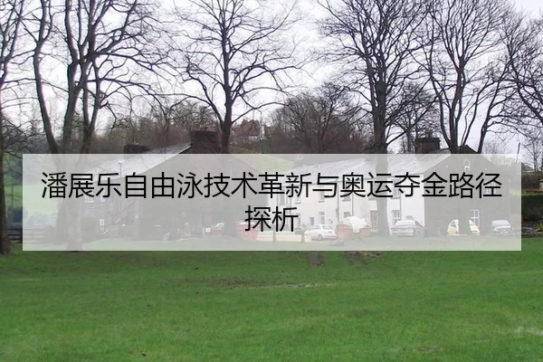 潘展乐自由泳技术革新与奥运夺金路径探析